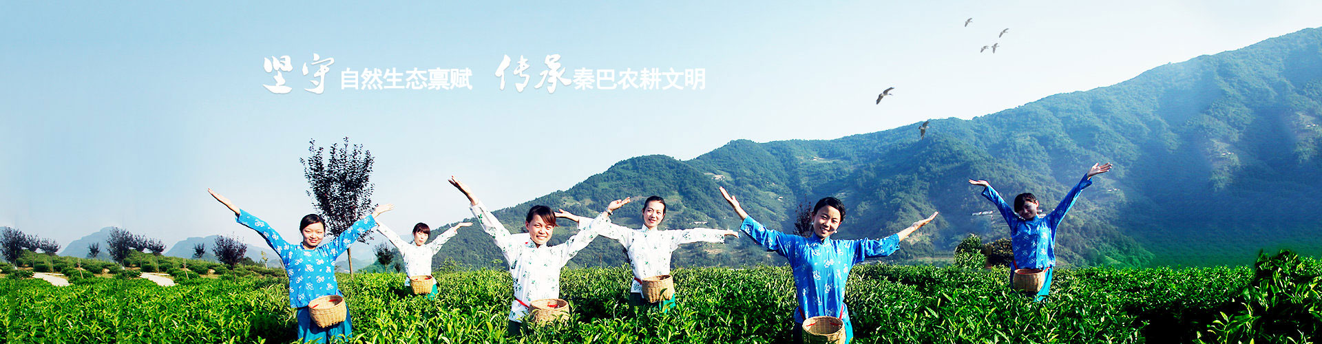 安康陽晨集團(tuán)